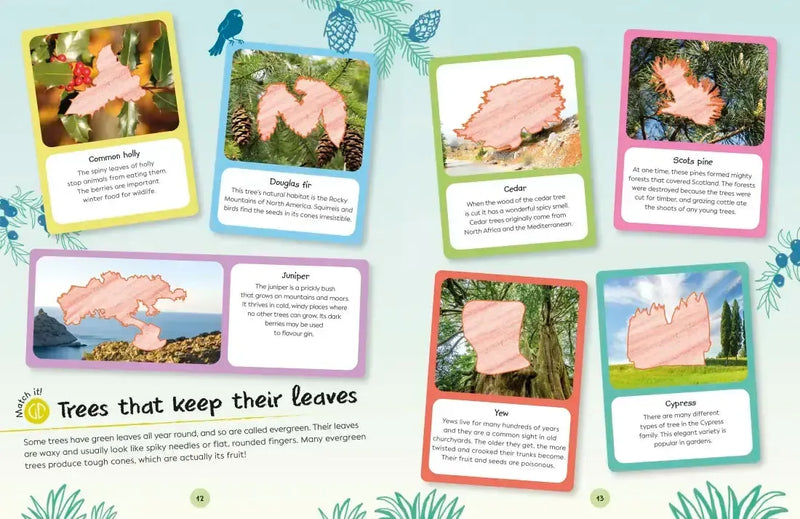 Ultimate Sticker Book Trees and Leaves US - Paperback / softback