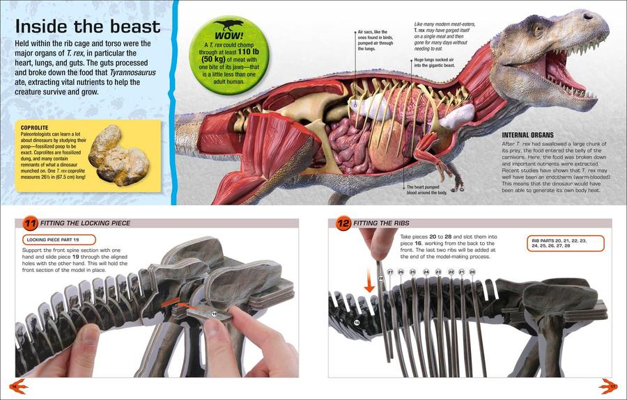 Make Your Own T. Rex US - Hardback