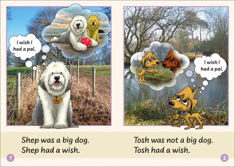 Phonic Books Dandelion Launchers Stages 8-15 Junk Bindup (Words with Four Sounds CVCC) US - Hardback