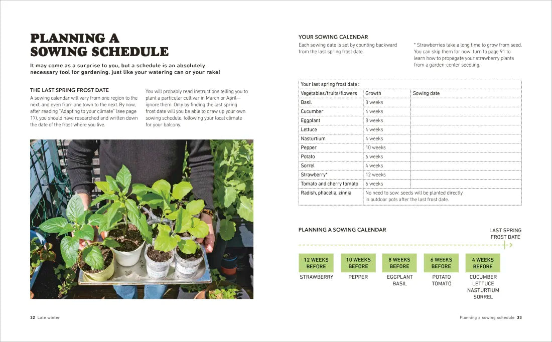 Tomatoes and Basil on the 5th Floor (The Frenchie Gardener) US - Paperback / softback