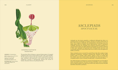 Wildflowers US - Hardback