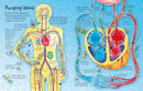 See Inside Your Body GB - Board book