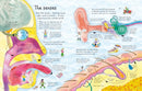 See Inside Your Body GB - Board book