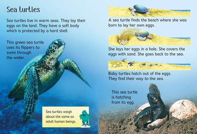 Under the Sea GB - Hardback