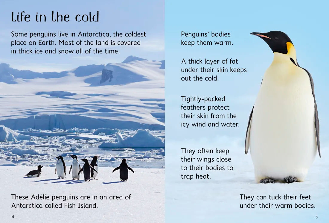 Penguins GB - Hardback