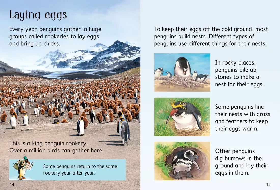 Penguins GB - Hardback