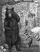 Spirit of the Wood US - Hardback