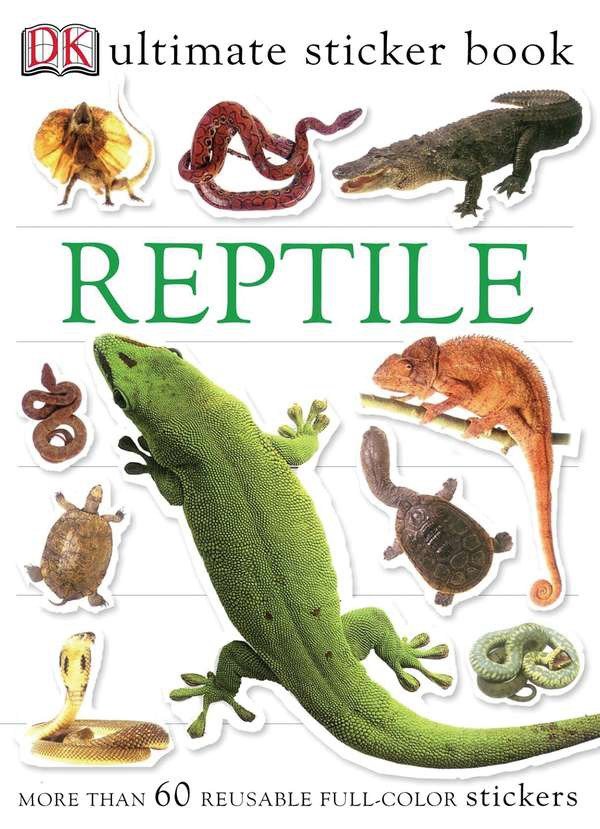 Ultimate Sticker Book: Reptile-Children’s interactive and activity books and kits-買書書 BuyBookBook