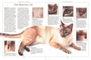 Complete Cat Care Manual US - Paperback / softback
