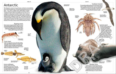 Encyclopedia of Animals US - Paperback / softback