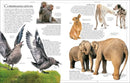 Encyclopedia of Animals US - Paperback / softback