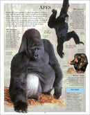 Encyclopedia of Animals US - Paperback / softback