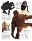 Encyclopedia of Animals US - Paperback / softback