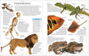 Encyclopedia of Animals US - Paperback / softback