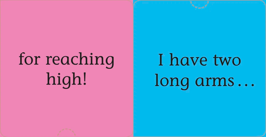 FUN FLAPS: All About Me! US - Board book