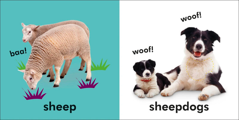 Baby Touch and Feel: Farm US - Board book