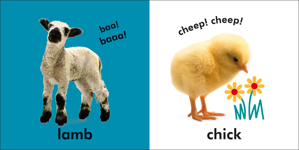 Baby Touch and Feel: Farm US - Board book