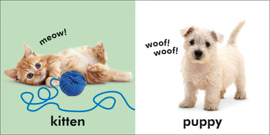 Baby Touch and Feel: Animals US - Board book