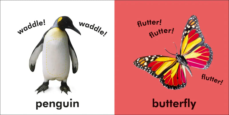 Baby Touch and Feel: Animals US - Board book