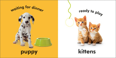 Baby Touch and Feel: Baby Animals US - Board book