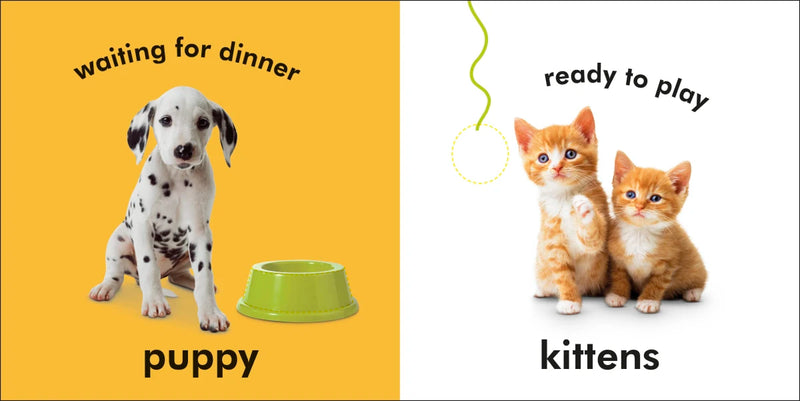 Baby Touch and Feel: Baby Animals US - Board book