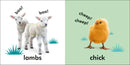 Baby Touch and Feel: Baby Animals US - Board book