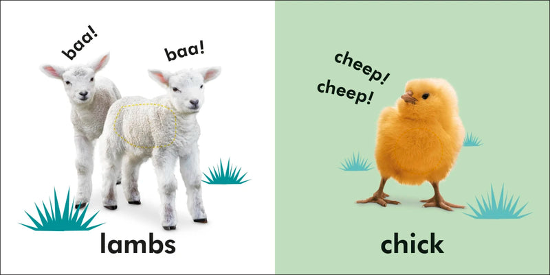 Baby Touch and Feel: Baby Animals US - Board book