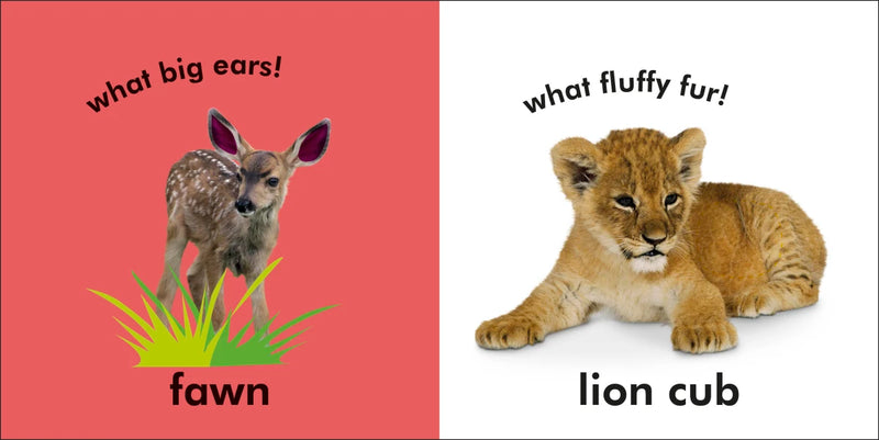 Baby Touch and Feel: Baby Animals US - Board book