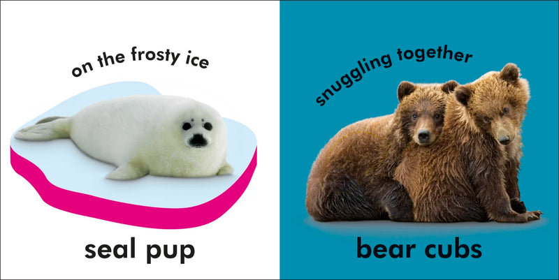 Baby Touch and Feel: Baby Animals US - Board book