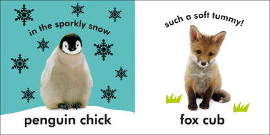 Baby Touch and Feel: Baby Animals US - Board book