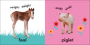 Baby Touch and Feel: Baby Animals US - Board book