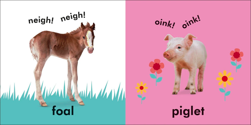 Baby Touch and Feel: Baby Animals US - Board book