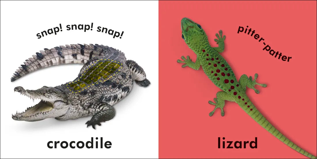Baby Touch and Feel: Wild Animals US - Board book