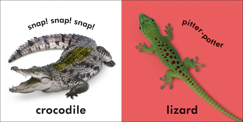 Baby Touch and Feel: Wild Animals US - Board book