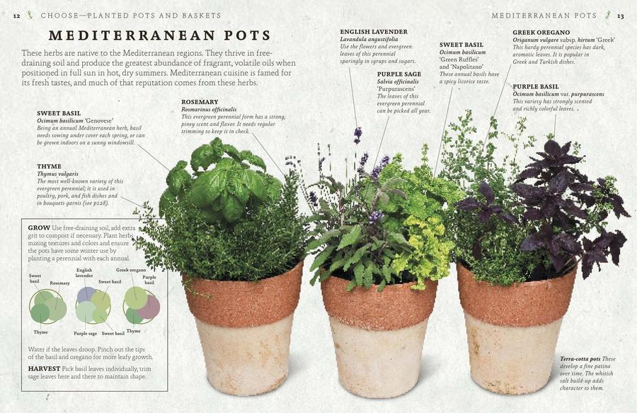 The Cook's Herb Garden US - Hardback