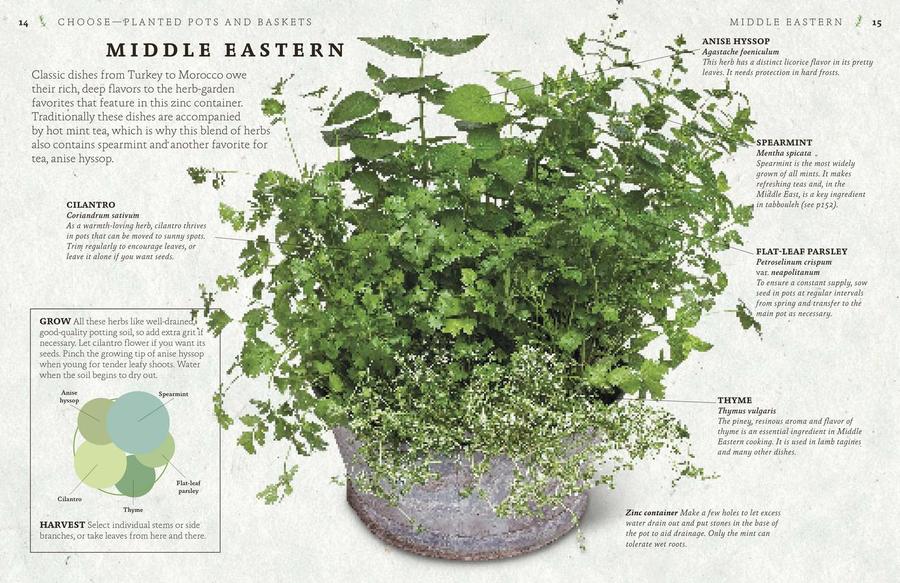 The Cook's Herb Garden US - Hardback