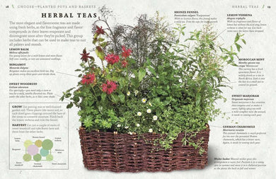The Cook's Herb Garden US - Hardback