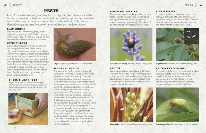 The Cook's Herb Garden US - Hardback