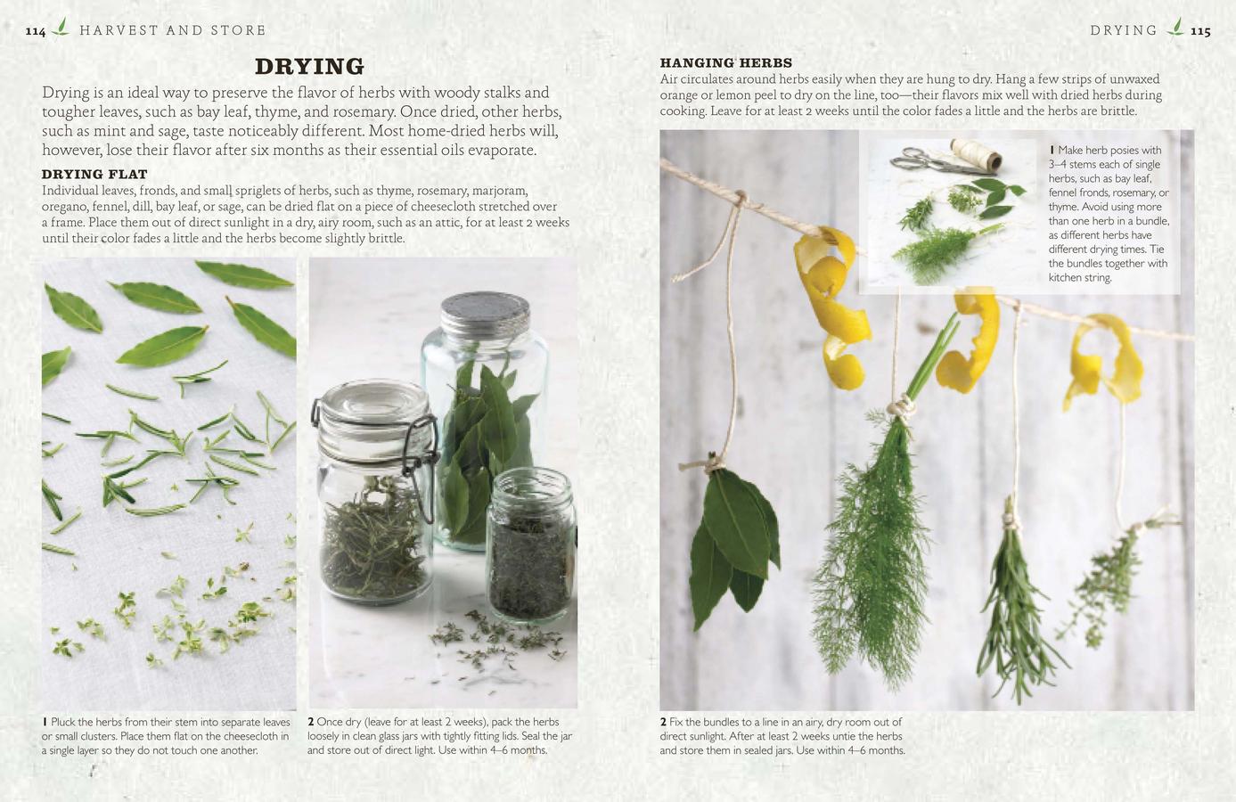 The Cook's Herb Garden US - Hardback