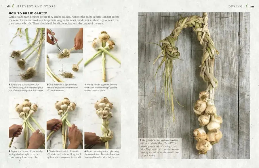 The Cook's Herb Garden US - Hardback