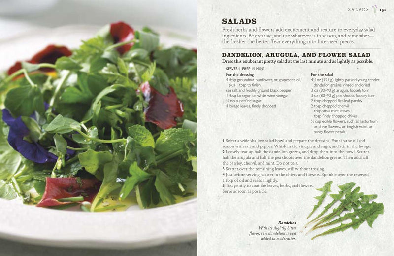 The Cook's Herb Garden US - Hardback