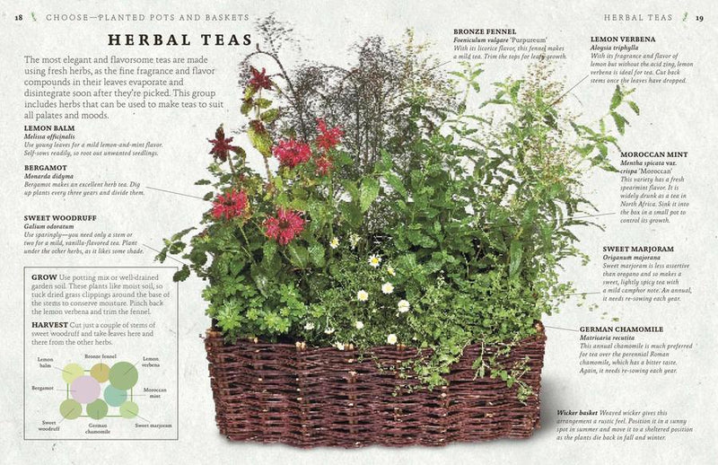 The Cook's Herb Garden US - Hardback