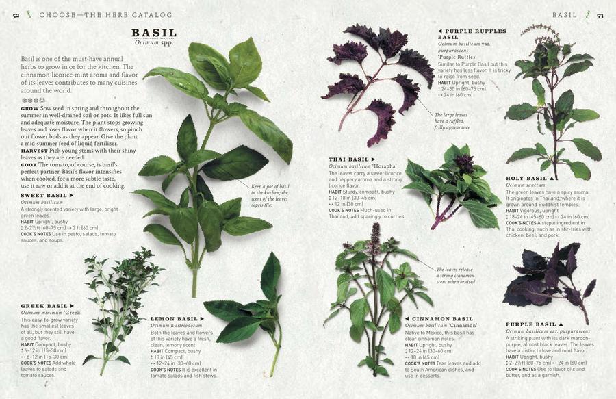 The Cook's Herb Garden US - Hardback