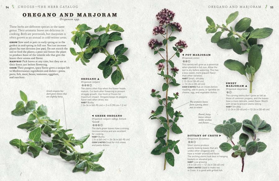The Cook's Herb Garden US - Hardback