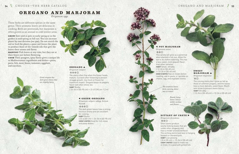 The Cook's Herb Garden US - Hardback