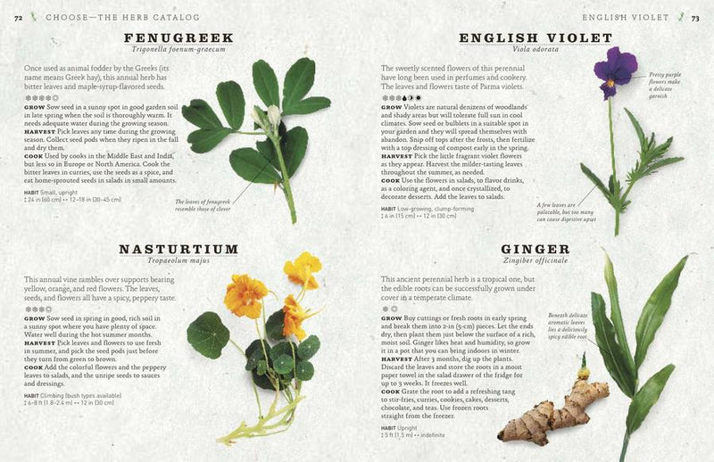 The Cook's Herb Garden US - Hardback