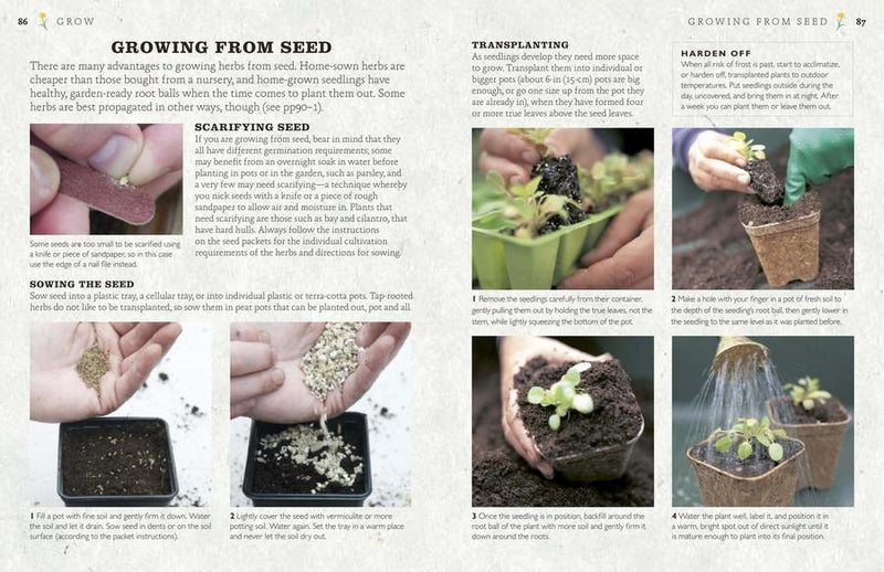 The Cook's Herb Garden US - Hardback