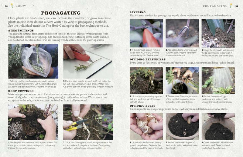 The Cook's Herb Garden US - Hardback