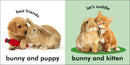 Baby Touch and Feel: Bunny US - Board book