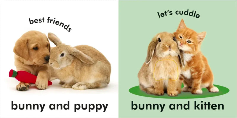 Baby Touch and Feel: Bunny US - Board book